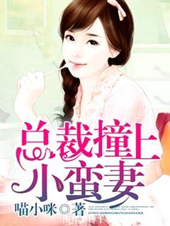 总裁撞上小蛮妻封面